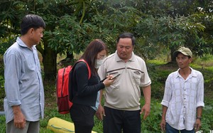 Loại trái cây 