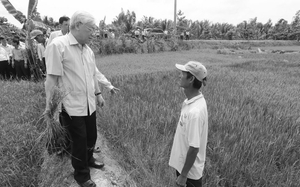 Tổng Bí thư Nguyễn Phú Trọng với nông nghiệp, nông dân, nông thôn: Đặt nông nghiệp lên tầm lợi thế quốc gia (Bài 2)