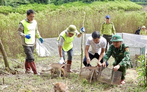 Nuôi cá giống dày đặc, bán kiểu gì mà một anh nông dân Hà Tĩnh đổi đời hẳn luôn? - Ảnh 8.