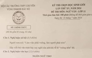 Đề thi Văn chọn học sinh giỏi các trường THPT chuyên phân tích 2 từ gây tranh cãi 