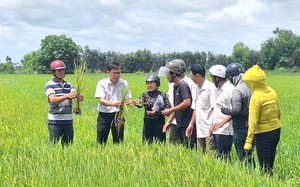 Dạy nghề làm nông nghiệp ứng dụng công nghệ cao có gì hay mà nông dân Long An kéo nhau đi học?