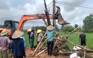 Ninh Bình: Mặt đê Năm Căn nứt toác kéo dài trong mùa mưa lũ - Ảnh 8.