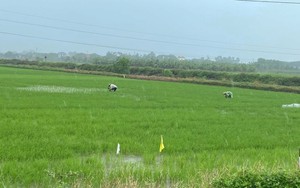 Ninh Bình: Ra mắt Tổ hội nghề nghiệp nuôi bò sinh sản và giải ngân Quỹ Hỗ trợ nông dân tại huyện Yên Khánh - Ảnh 5.