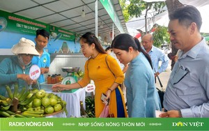 radio online Nhịp sống nông thôn mới ngày 12.08.2024 radio nông dân radio truyện radio trực tuyến - Ảnh 2.