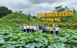 Đi tìm những làng quê đáng sống: Lạc vào miền quê của những loài hoa, một xã đón 120.000 khách du lịch/năm (Bài 2)