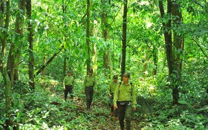 Nông dân Lào Cai có nhiều cách làm hay trong công tác hội và phong trào nông dân - Ảnh 2.