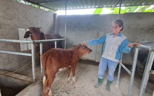 Đi tìm những "làng quê đáng sống": Ngắm ngôi làng toàn biệt thự, người dân phần lớn đi nước ngoài (Bài 5) - Ảnh 14.