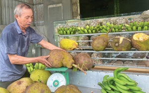 Chanh không hạt là loại quả thơm nức trồng thành công ở Long An bán tốt sang châu Âu, Nhật Bản - Ảnh 4.