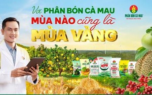 Xã miền núi ở TP Phổ Yên của tỉnh Thái Nguyên hỗ trợ hộ nghèo phát triển chăn nuôi, tăng thu nhập- Ảnh 5.