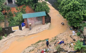 Quảng Ninh: TP.Hạ Long khởi công loạt dự án trọng điểm gần 1.000 tỷ đồng - Ảnh 6.