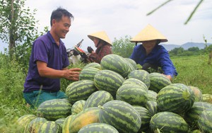 Nghệ An: Tổ chức giải bóng chuyền hơi chào mừng 94 năm ngày thành lập Hội Nông dân Việt Nam - Ảnh 5.