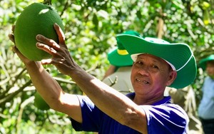 Bà Đặng Huỳnh Ức My, Chủ tịch TTC AgriS cùng Đại sứ Úc cam kết thúc đẩy nông nghiệp bền vững - Ảnh 5.