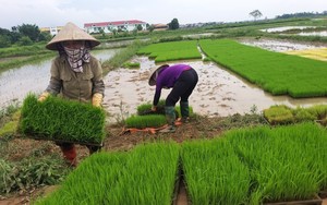 Hội viên, nông dân hiến kế tháo gỡ khó khăn chuyển đổi số nông nghiệp