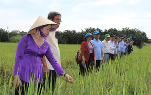 Hội Nông dân tỉnh Đồng Nai vượt hàng loạt chỉ tiêu Trung ương Hội giao - Ảnh 10.