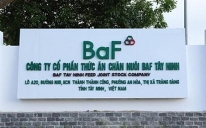 Thêm 'ông lớn' BAF Việt Nam (BAF) báo lãi tăng bằng lần, tổng đàn lợn hơn nửa triệu con - Ảnh 6.