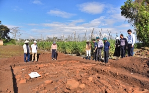 Hạt điều thơm ngon đem rang lên bán ra nước ngoài, một tỷ phú Gia Lai là Nông dân Việt Nam xuất sắc - Ảnh 9.