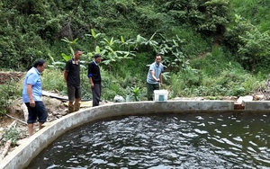 Phát huy giá trị văn hóa, người Mông ở Mù Cang Chải cho khách "tây" trải nghiệm, tăng thu nhập - Ảnh 10.