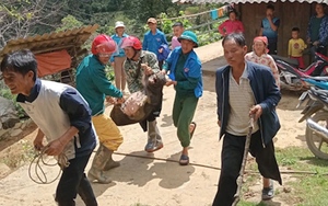  BĐBP tỉnh Sơn La kịp thời cứu 4 cháu bé người Lào bị ngộ độc do lấy nấm trên nương về nướng ăn - Ảnh 2.