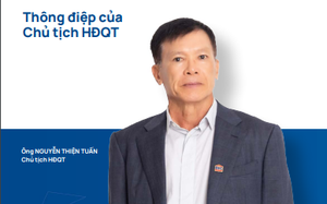 Thanh tra Chính phủ phát hiện nhiều sai phạm khi cổ phần hóa DIC  - Ảnh 3.