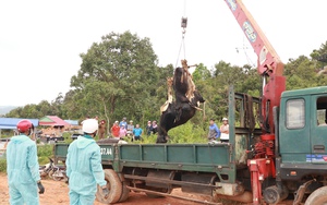 Vụ bò chết bất thường ở Lâm Đồng: Số bò nhiễm bệnh vẫn tăng, tái bệnh trở lại- Ảnh 8.