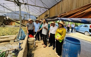 Hội Nông dân tổ chức hội thảo chuyên đề kỹ thuật về đất, dinh dưỡng cho cây trồng ở Bình Thuận - Ảnh 5.