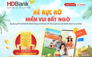 ADB lần thứ hai liên tiếp vinh danh HDBank là "Ngân hàng đối tác hàng đầu tại Việt Nam" - Ảnh 4.