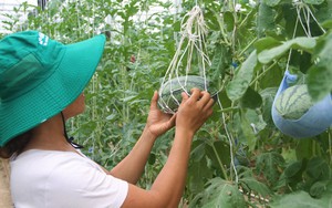 Hội Nông dân Thái Nguyên tập huấn về xây dựng nông thôn mới cho hội viên, nông dân - Ảnh 4.