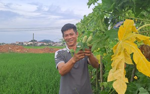 Ngôi làng Phú Lễ kỳ lạ, không là làng du lịch, ko có di tích, kỳ quan mà khiến ai cũng muốn đến sống - Ảnh 23.