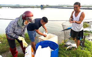 Nữ nông dân Việt - Mỹ chia sẻ làm nông nghiệp thông minh, bà chủ đồng cỏ 7.000ha gợi ý một điều - Ảnh 5.