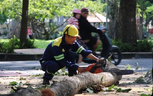 TP.HCM chi hơn 200 tỷ đồng nâng cấp loạt vỉa hè, tuyến hẻm quận trung tâm - Ảnh 6.