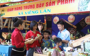 Yên Châu: Nâng cao đời sống đồng bào dân tộc - Ảnh 7.