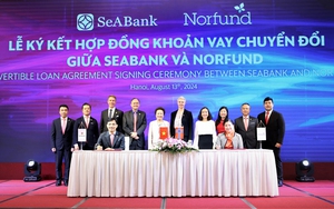 SeABank dành 5.000 tỷ đồng cho vay khách hàng cá nhân bổ sung vốn kinh doanh - Ảnh 4.