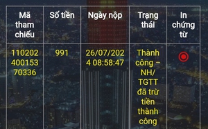 Người dân sẽ vui vẻ đóng thuế nếu nguồn gốc tường minh - Ảnh 2.