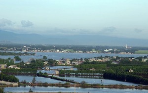 Trám đen, quả đặc sản ở Nghệ An bất ngờ leo lên đỉnh, sao thương hễ mở miệng ra là kêu lỗ nặng? - Ảnh 9.