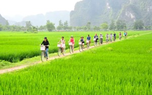 Quán ăn ngon cho khách du lịch ở Ninh Bình: Xôi trứng kiến làm tò mò khách thập phương - Ảnh 9.