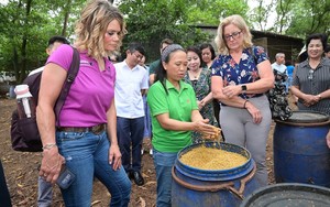 Giá tiêu hôm nay Đăk Lăk giảm nhẹ, dự báo giá tiêu bước vào chu kỳ mới - Ảnh 3.