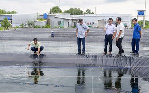 Loại củ từng cứu đói một thời, nay trở thành đặc sản qua bàn tay của đôi vợ chồng ở Thái Nguyên - Ảnh 8.