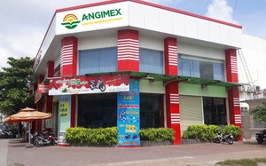 Angimex nói gì khi cổ phiếu "nhuộm tím" 5 phiên?- Ảnh 3.