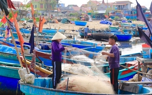 Ra vườn vặt quả cà pháo chát chát, thái lát trộn với tai heo hóa đặc sản đất Minh Long Quảng Ngãi - Ảnh 3.