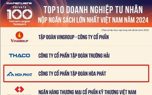 Hòa Phát nộp ngân sách 10.000 tỷ đồng trong 9 tháng - Ảnh 3.