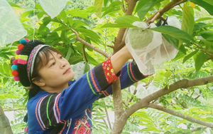 Lào Cai: Cảnh sát giao thông bàn giao xe gắn máy bị mất sau 10 năm thất lạc cho công dân - Ảnh 3.