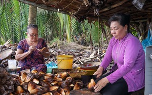 Nông dân Long An đầu tư hệ thống tưới tự động trồng rau màu, xây dựng mô hình công nghệ cao từ vốn Quỹ HTND - Ảnh 2.