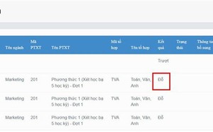 Cách tra cứu kết quả trúng tuyển đại học 2023, làm sao biết đỗ đại học hay chưa? - Ảnh 1.