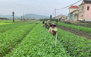 Sự thật bé trai 5 tuổi bị gãy chân, sống trong lán ở Nghệ An bị nghi do ngược đãi- Ảnh 10.