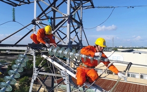 Các phó Thủ tướng dự lễ khánh thành đường dây 500 kV mạch 3 điểm cầu Hà Tĩnh, Thanh Hóa - Ảnh 11.