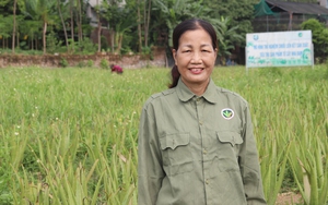 Chủ tịch Hội Nông Dân Việt Nam Lương Quốc Đoàn kiểm tra công tác Thi đua-Khen thưởng tại Hòa Bình - Ảnh 10.