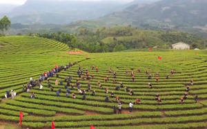 Lào Cai: Đối thoại chính sách pháp luật về an toàn thực phẩm - Ảnh 5.