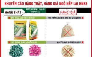 Bộ giống lúa của Vinaseed có đặc tính gì mà nông dân Quảng Nam trầm trồ khen ngợi? - Ảnh 9.