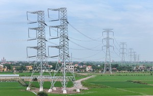 Các phó Thủ tướng dự lễ khánh thành đường dây 500 kV mạch 3 điểm cầu Hà Tĩnh, Thanh Hóa - Ảnh 10.