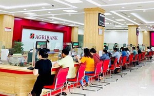 Bổ nhiệm Giám đốc Agribank Chi nhánh tỉnh Đắk Lắk giữ chức vụ Phó Tổng Giám đốc Agribank - Ảnh 5.